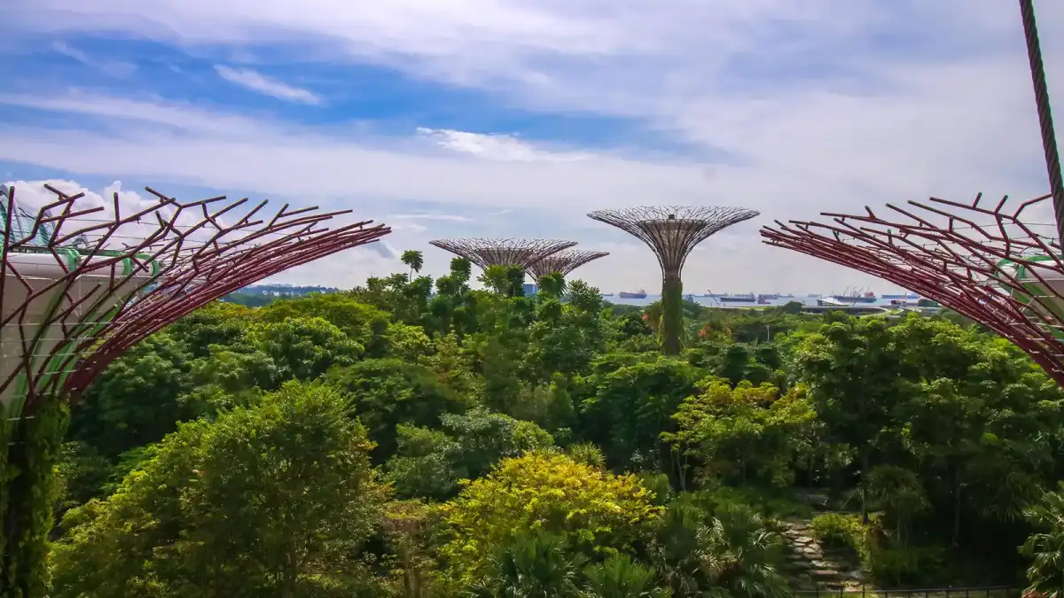 Supertree Grove, Singapore